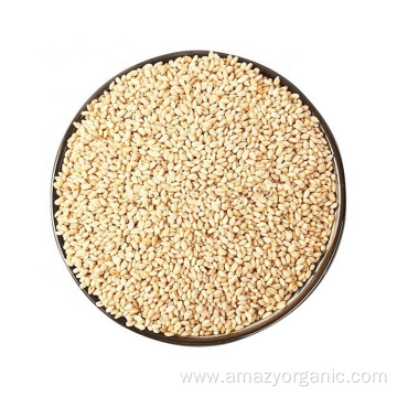 Organic White Quinoa Seeds